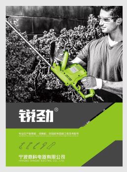 锐劲-宁波鼎科电器有限公司