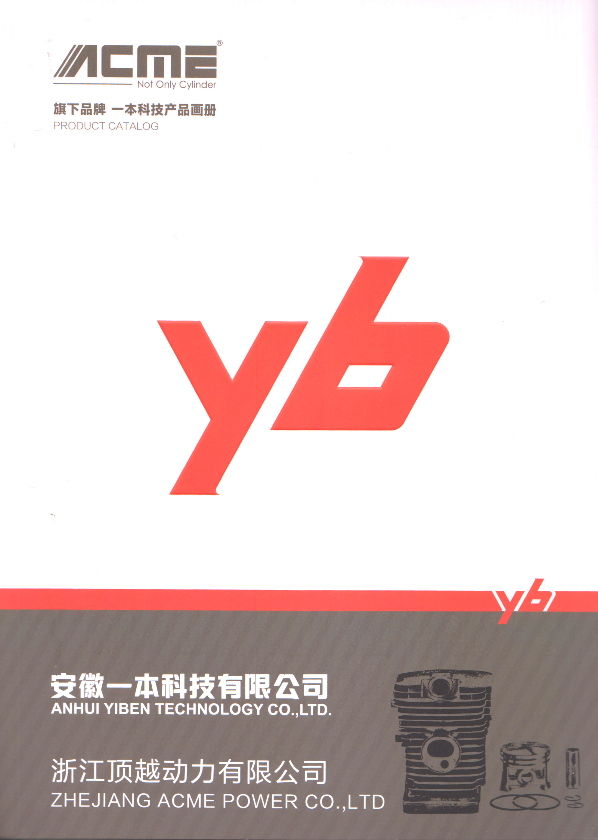 安徽一本科技有限公司